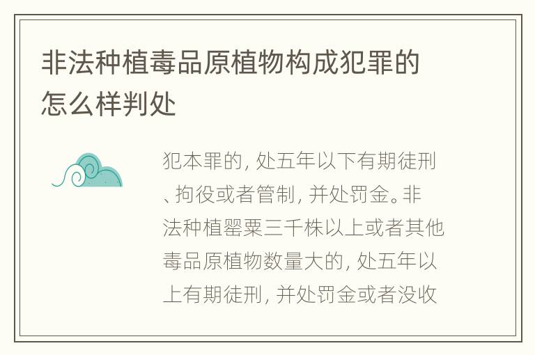 非法种植毒品原植物构成犯罪的怎么样判处