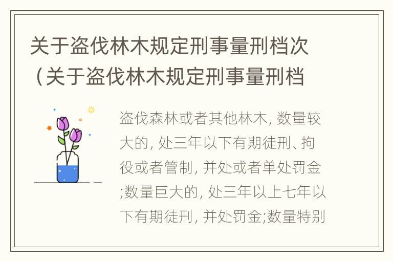 关于盗伐林木规定刑事量刑档次（关于盗伐林木规定刑事量刑档次的解释）