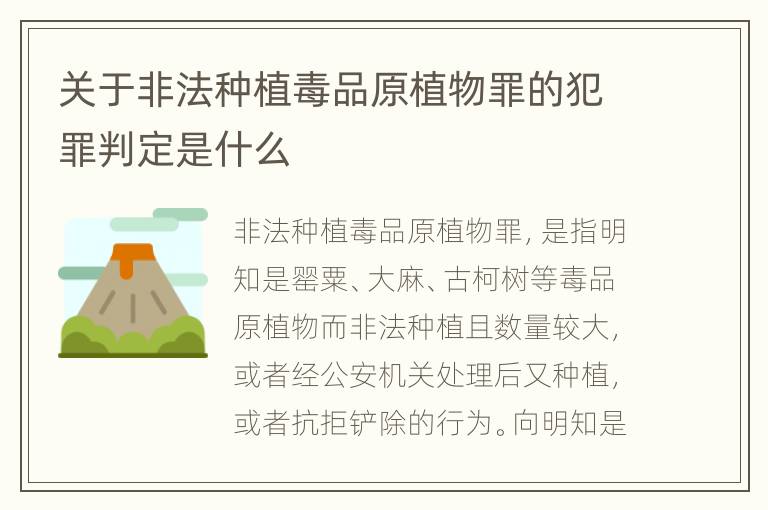 关于非法种植毒品原植物罪的犯罪判定是什么