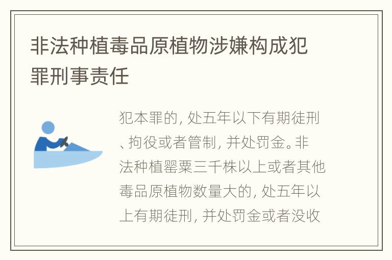 非法种植毒品原植物涉嫌构成犯罪刑事责任