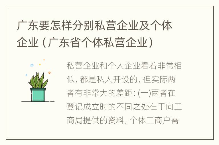 广东要怎样分别私营企业及个体企业（广东省个体私营企业）