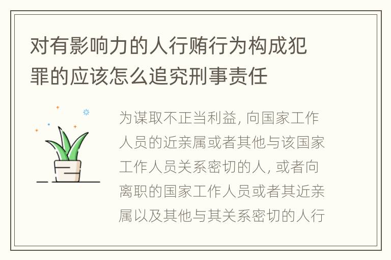 对有影响力的人行贿行为构成犯罪的应该怎么追究刑事责任