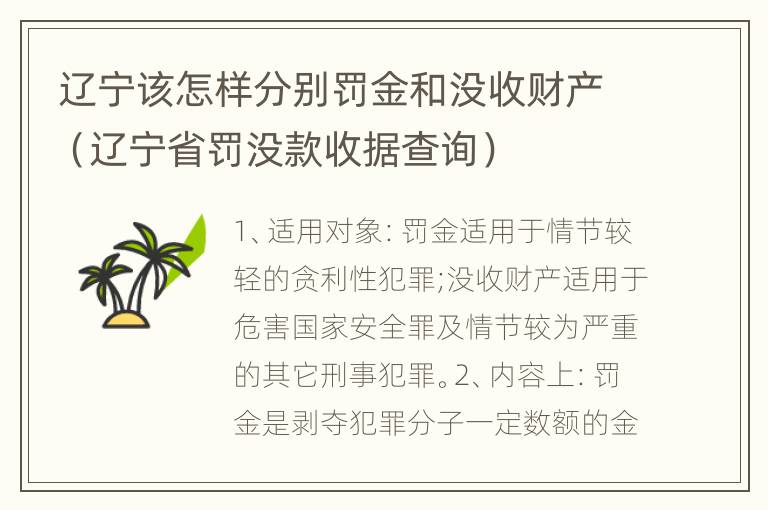 辽宁该怎样分别罚金和没收财产（辽宁省罚没款收据查询）