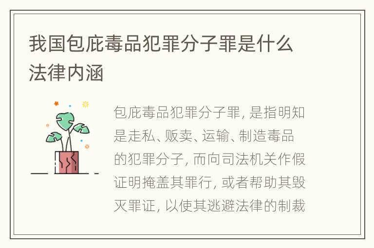 我国包庇毒品犯罪分子罪是什么法律内涵