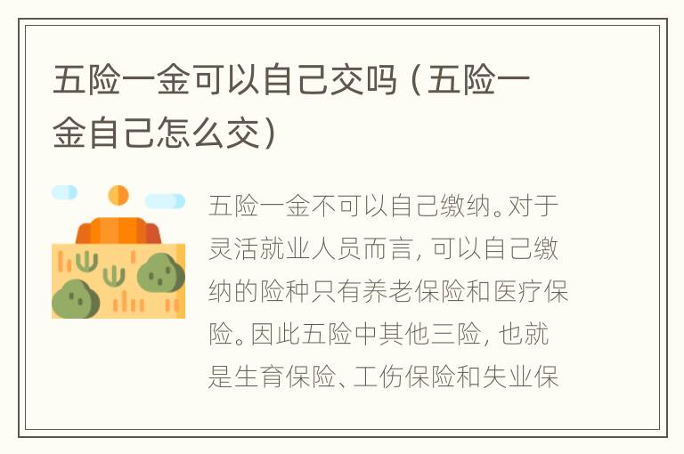 五险一金可以自己交吗（五险一金自己怎么交）