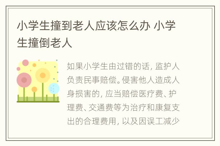 小学生撞到老人应该怎么办 小学生撞倒老人