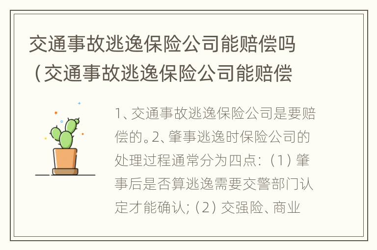 交通事故逃逸保险公司能赔偿吗（交通事故逃逸保险公司能赔偿吗）