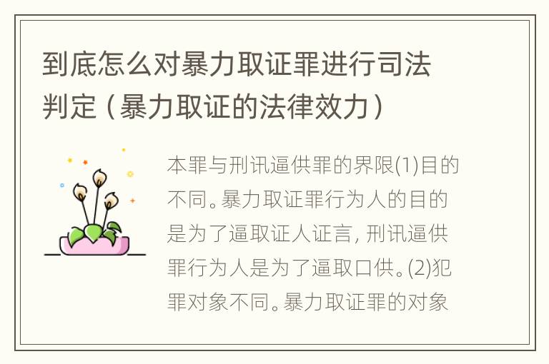 到底怎么对暴力取证罪进行司法判定（暴力取证的法律效力）