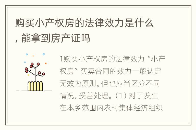 购买小产权房的法律效力是什么，能拿到房产证吗