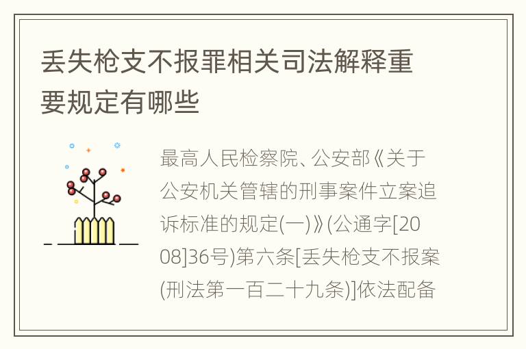 丢失枪支不报罪相关司法解释重要规定有哪些