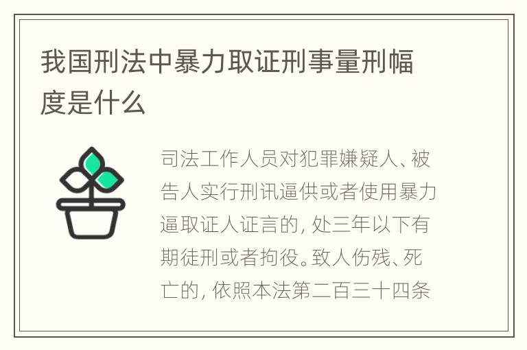 我国刑法中暴力取证刑事量刑幅度是什么