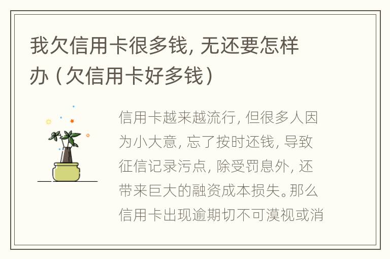 我欠信用卡很多钱，无还要怎样办（欠信用卡好多钱）