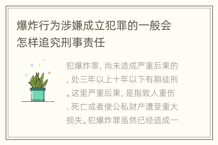 爆炸行为涉嫌成立犯罪的一般会怎样追究刑事责任