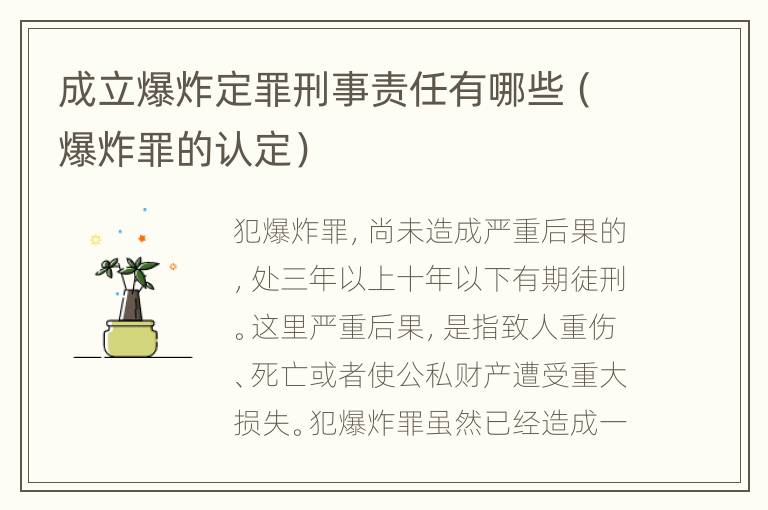 成立爆炸定罪刑事责任有哪些（爆炸罪的认定）