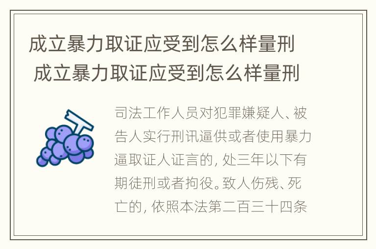 成立暴力取证应受到怎么样量刑 成立暴力取证应受到怎么样量刑处罚