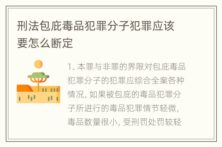 刑法包庇毒品犯罪分子犯罪应该要怎么断定