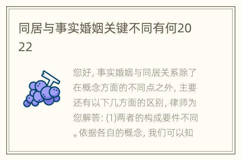 同居与事实婚姻关键不同有何2022