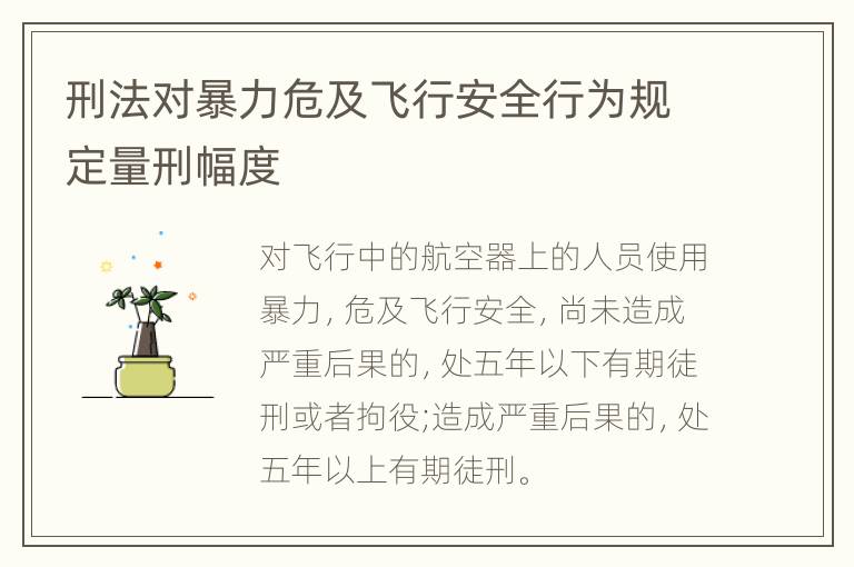 刑法对暴力危及飞行安全行为规定量刑幅度