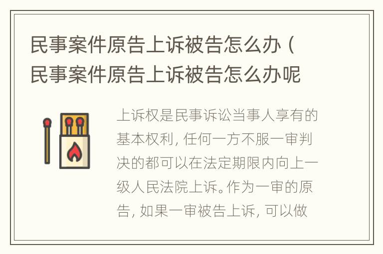 民事案件原告上诉被告怎么办（民事案件原告上诉被告怎么办呢）