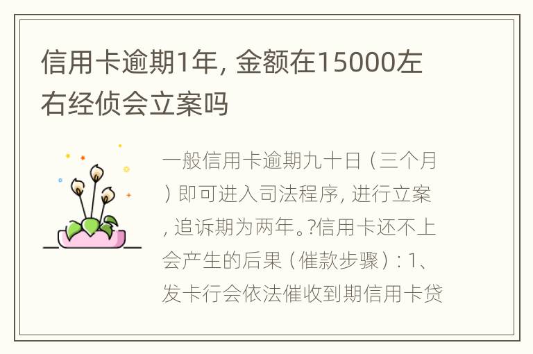 信用卡逾期1年，金额在15000左右经侦会立案吗