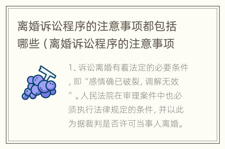 离婚诉讼程序的注意事项都包括哪些（离婚诉讼程序的注意事项都包括哪些内容）