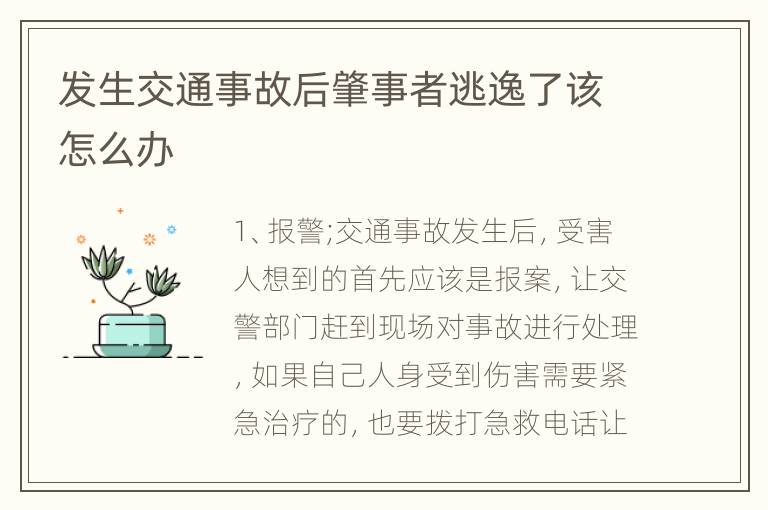 发生交通事故后肇事者逃逸了该怎么办