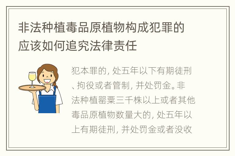 非法种植毒品原植物构成犯罪的应该如何追究法律责任