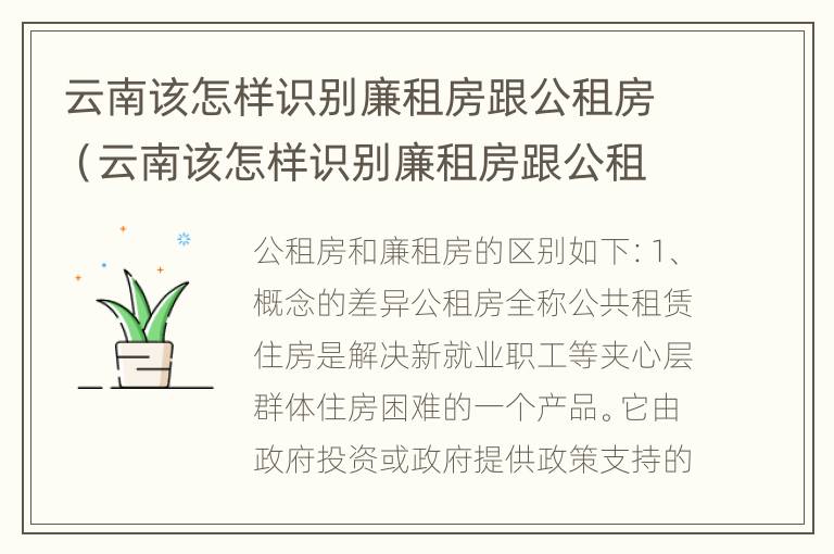 云南该怎样识别廉租房跟公租房（云南该怎样识别廉租房跟公租房的区别）