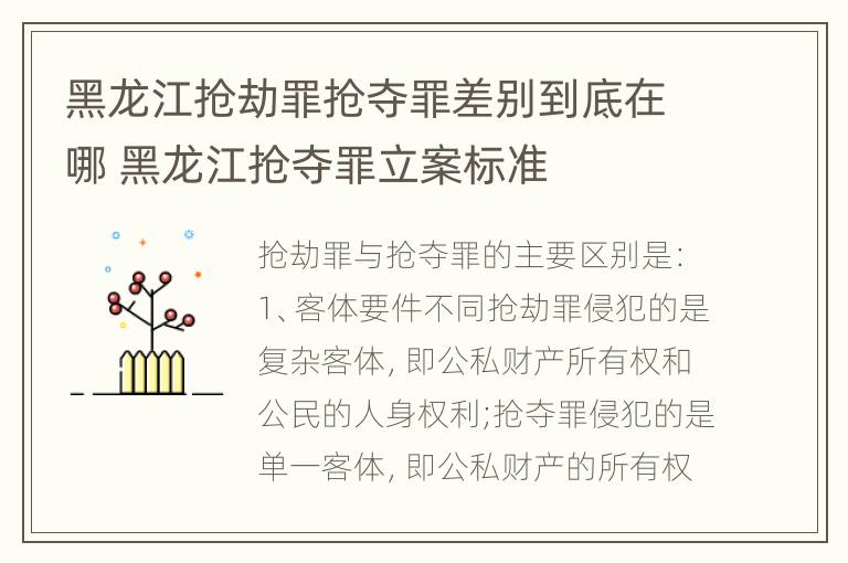 黑龙江抢劫罪抢夺罪差别到底在哪 黑龙江抢夺罪立案标准