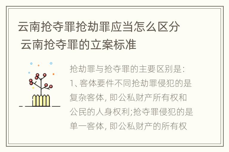 云南抢夺罪抢劫罪应当怎么区分 云南抢夺罪的立案标准