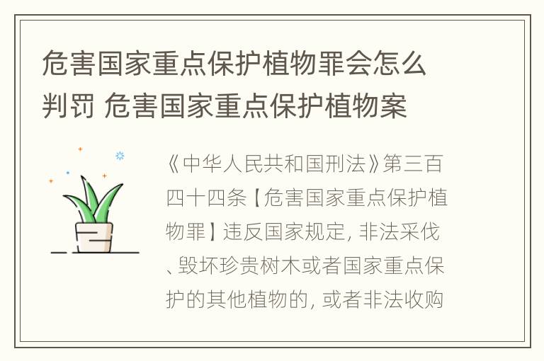 危害国家重点保护植物罪会怎么判罚 危害国家重点保护植物案