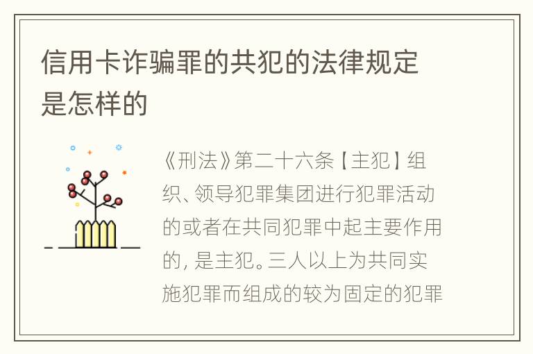 信用卡诈骗罪的共犯的法律规定是怎样的