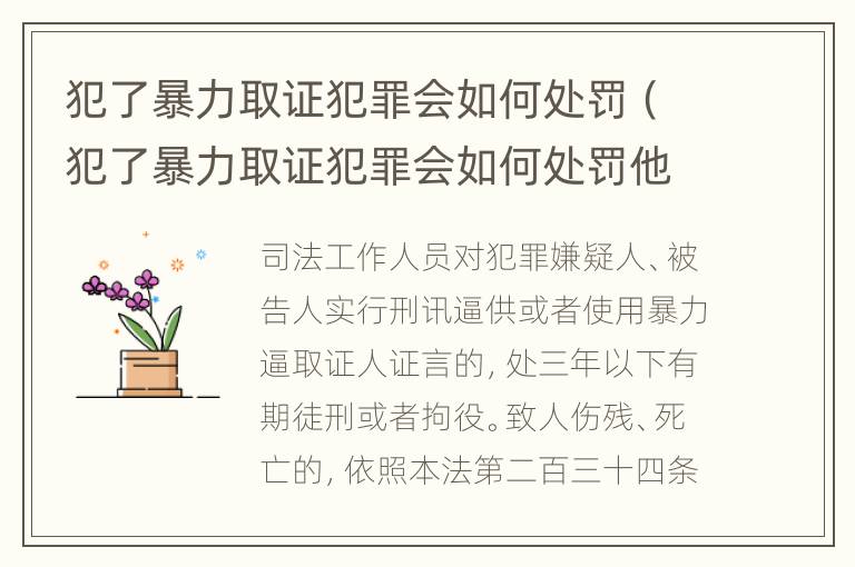 犯了暴力取证犯罪会如何处罚（犯了暴力取证犯罪会如何处罚他）