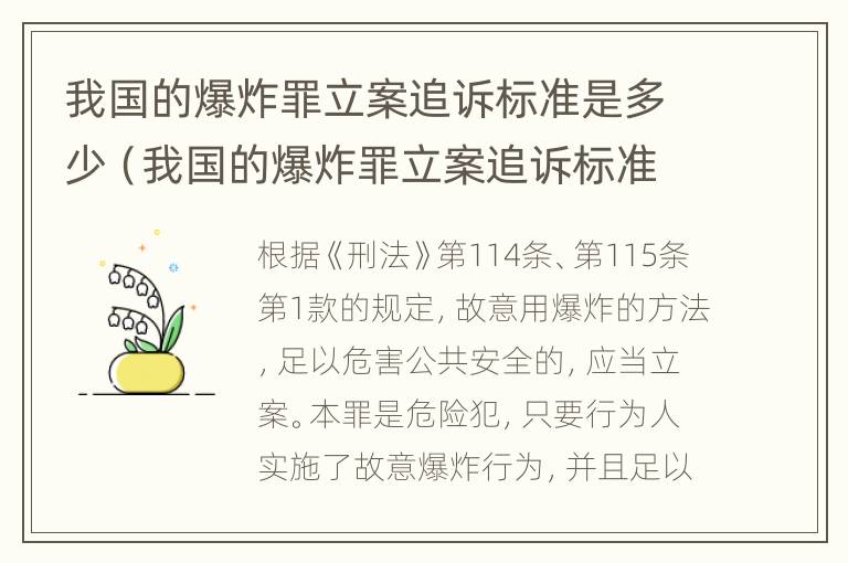 我国的爆炸罪立案追诉标准是多少（我国的爆炸罪立案追诉标准是多少条）