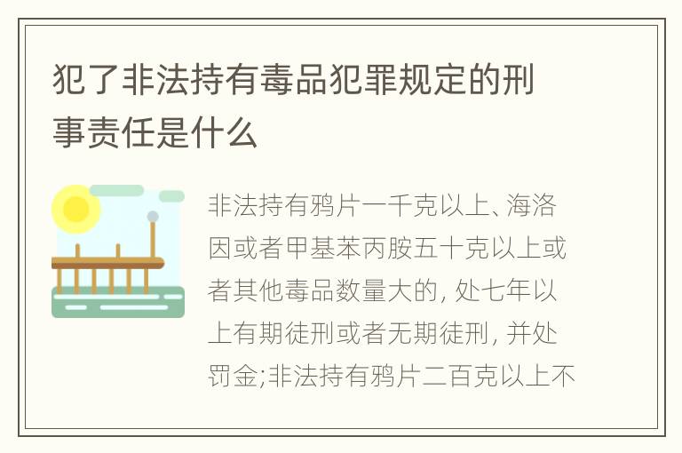 犯了非法持有毒品犯罪规定的刑事责任是什么