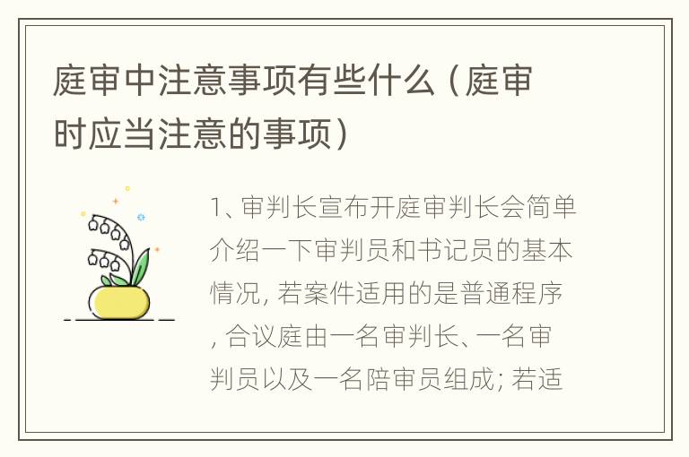 庭审中注意事项有些什么（庭审时应当注意的事项）