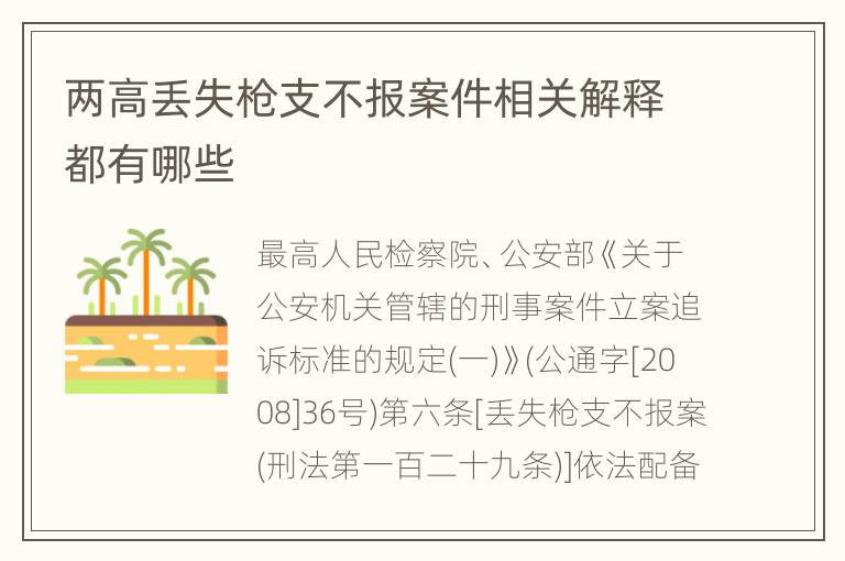 两高丢失枪支不报案件相关解释都有哪些