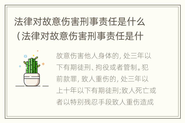 法律对故意伤害刑事责任是什么（法律对故意伤害刑事责任是什么罪名）