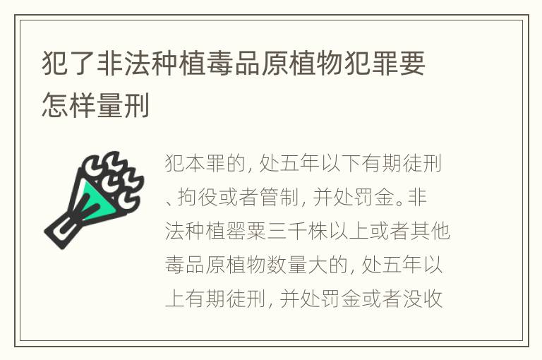 犯了非法种植毒品原植物犯罪要怎样量刑