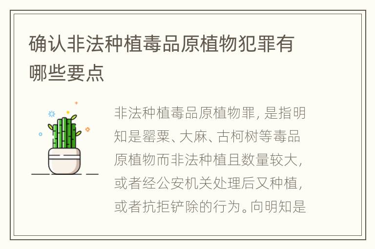 确认非法种植毒品原植物犯罪有哪些要点