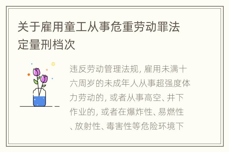 关于雇用童工从事危重劳动罪法定量刑档次