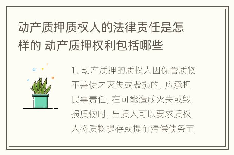 动产质押质权人的法律责任是怎样的 动产质押权利包括哪些