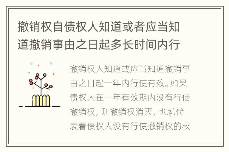 撤销权自债权人知道或者应当知道撤销事由之日起多长时间内行使