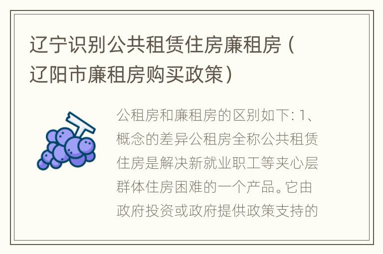 辽宁识别公共租赁住房廉租房（辽阳市廉租房购买政策）