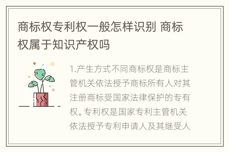 商标权专利权一般怎样识别 商标权属于知识产权吗