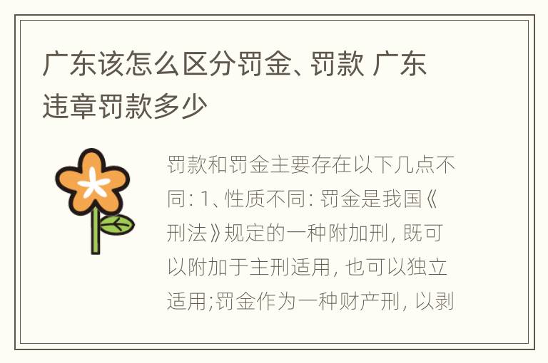 广东该怎么区分罚金、罚款 广东违章罚款多少