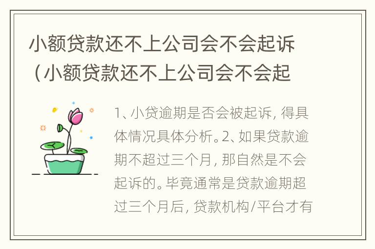 小额贷款还不上公司会不会起诉（小额贷款还不上公司会不会起诉法院）