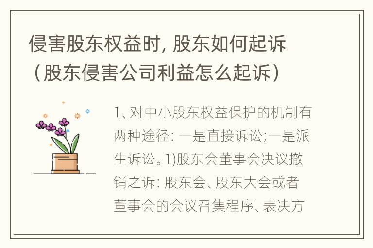 侵害股东权益时，股东如何起诉（股东侵害公司利益怎么起诉）