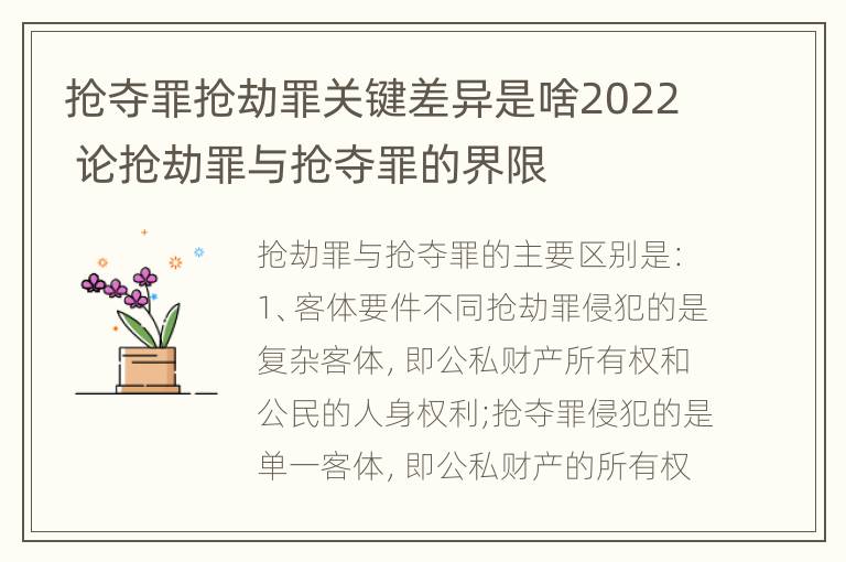 抢夺罪抢劫罪关键差异是啥2022 论抢劫罪与抢夺罪的界限