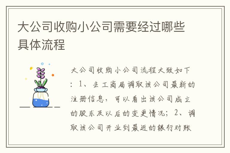 大公司收购小公司需要经过哪些具体流程